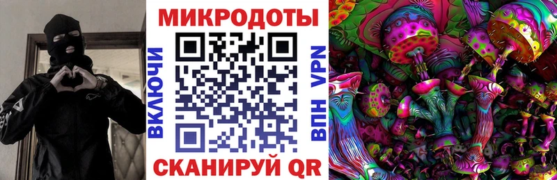 где купить наркоту  кракен зеркало  Псилоцибиновые грибы мухоморы  Юрьев-Польский 